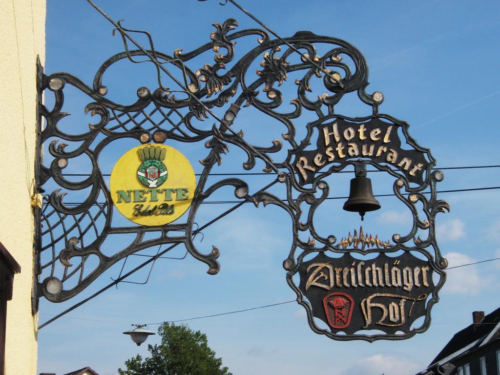 فندق Dreischlaeger Hof Neustadt  المظهر الخارجي الصورة